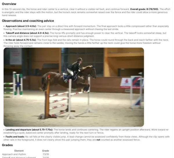 A scanned clip of a show jump with timestamped observations and grades
